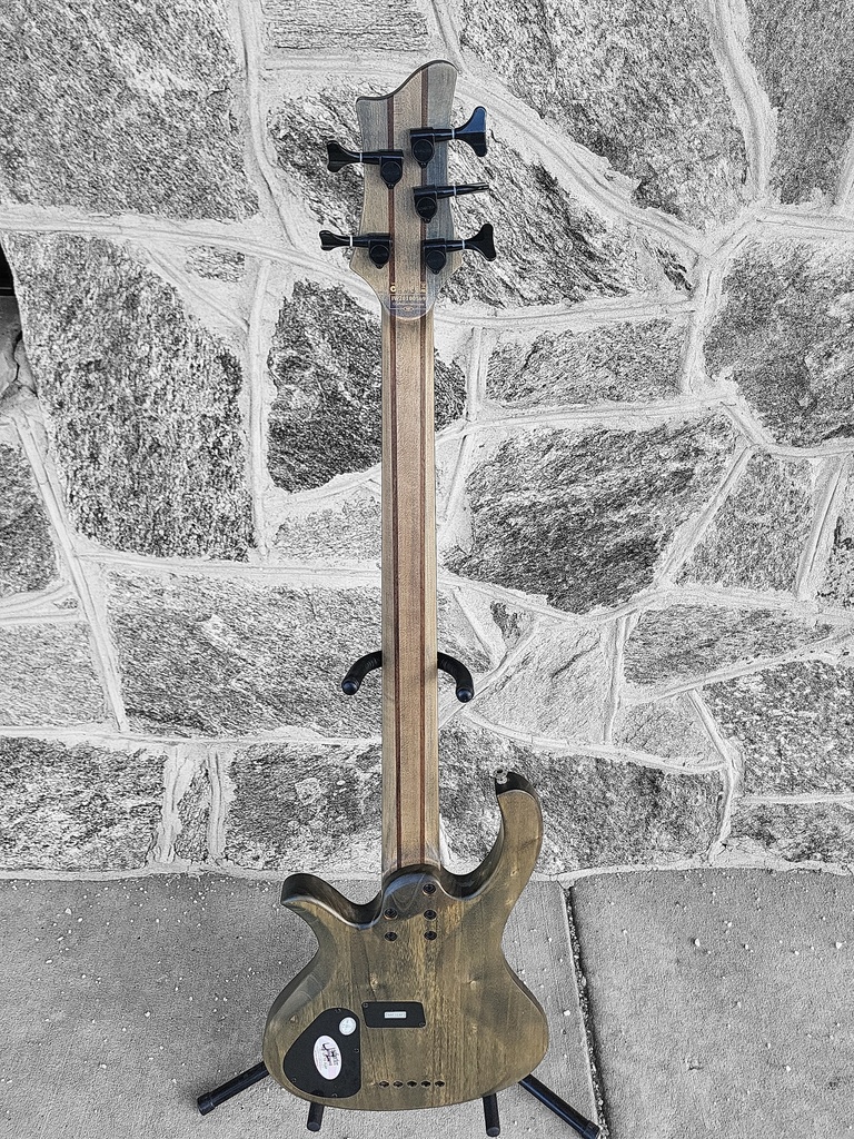 Schecter Riot-5 5-String Bass, Aurora Burst