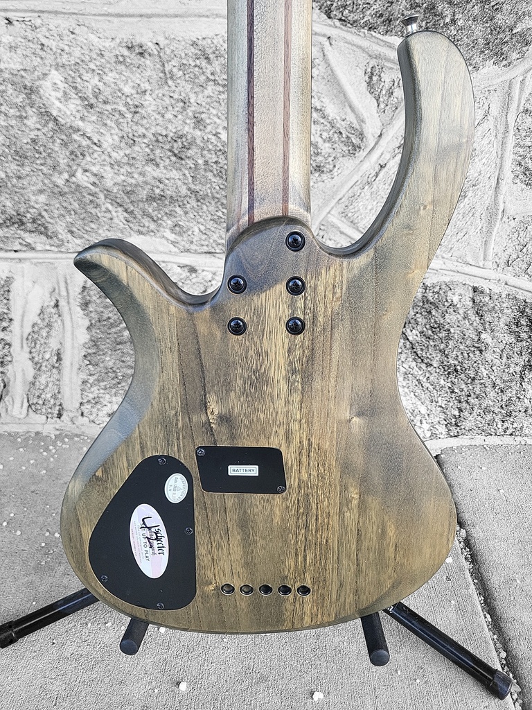 Schecter Riot-5 5-String Bass, Aurora Burst