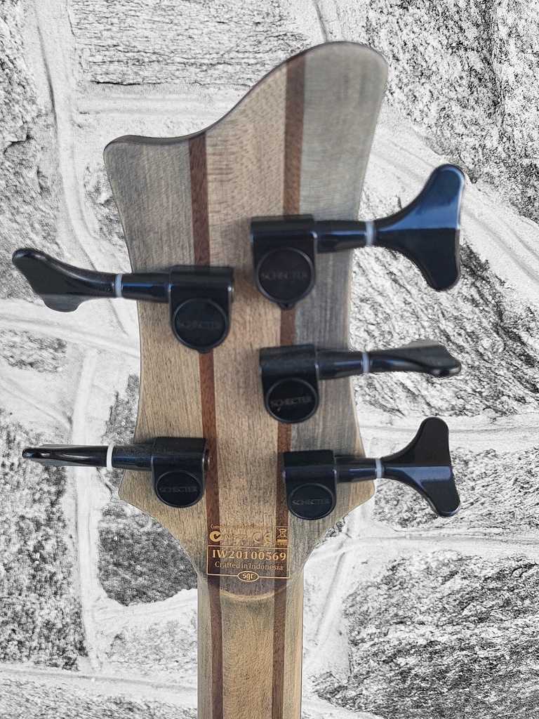 Schecter Riot-5 5-String Bass, Aurora Burst