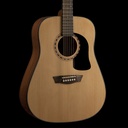 Washburn Apprentice D5 Dreadnaught Acoustic Guitar with Case