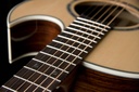 Washburn Festival EA20S Nuno Bettencourt Acoustic Electric Guitar