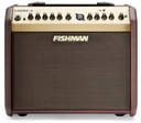 Fishman Loudbox Mini - 60 watts