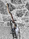 IMG_7432831014115187172-Photoroom.webp