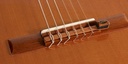 KNA NG-1 Nylon String Guitar Pickup