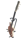 Danelectro 59 Divine - Flame Maple