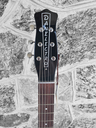 Danelectro 59 Resonator, Tobacco Sunburst