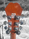 Epiphone PR-160 Acoustic Guitar