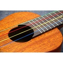 Aquila 138U Kids Colored Nylgut Soprano Ukulele Strings, Regular Tuning