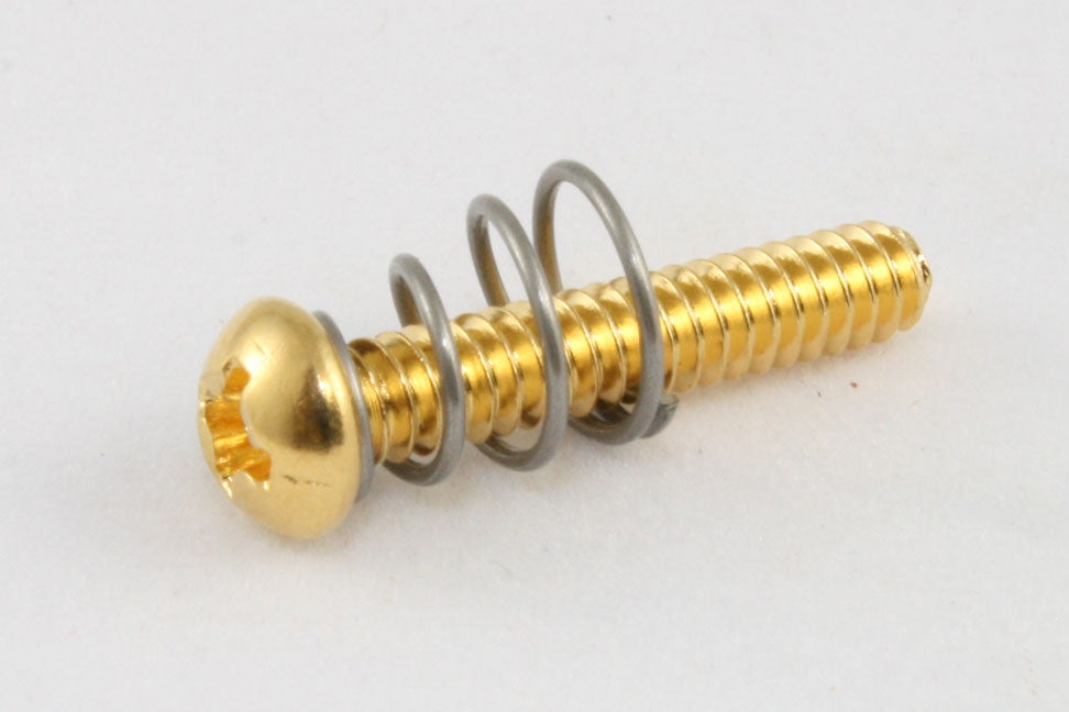 Allparts GS-0007 Single Coil Pickup Screws, Gold, Pack of 8