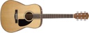 Fender CD-60 Dreadnaught Acoustic with Case, Natural