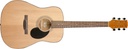 Jasmine S-35 Dreadnaught Acoustic