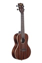 Kala Striped Ebony Concert Ukulele
