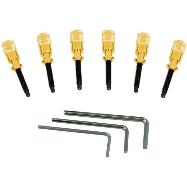 Floyd Rose Hollow Point Intonation System, Gold