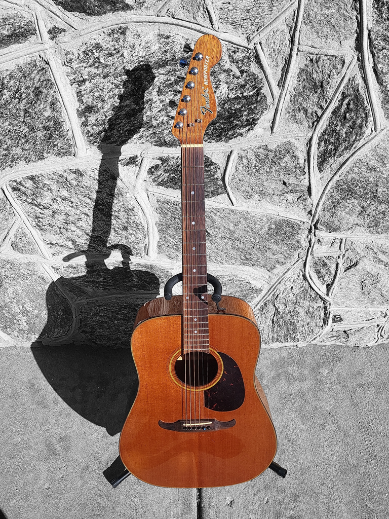 1980's Fender Newporter