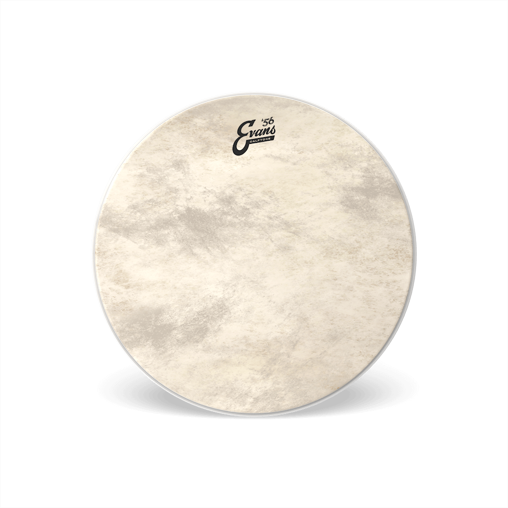Evans Calftone Drumhead, 16 Inch