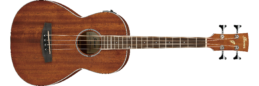 Ibanez PNB14E Parlor Acoustic Electric Bass, Open Pore Natural