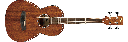 Ibanez PNB14E Parlor Acoustic Electric Bass, Open Pore Natural
