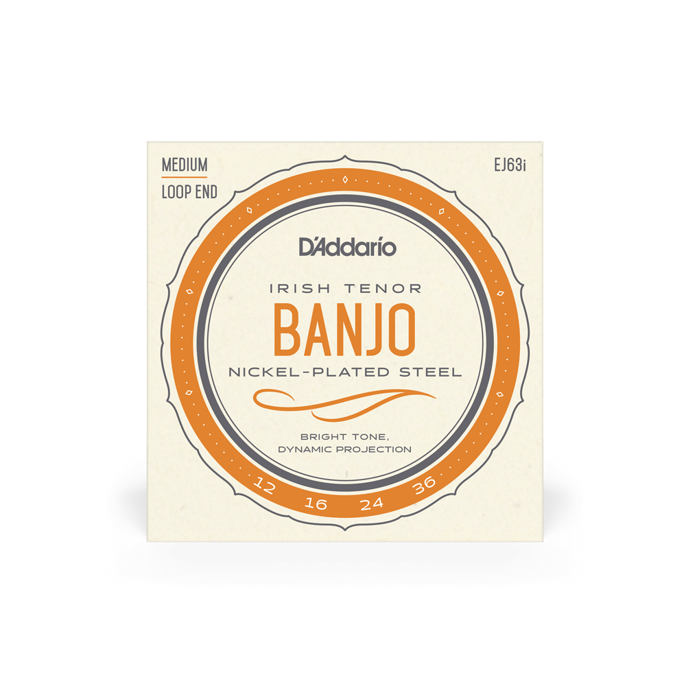 D'Addario EJ63i Irish Tenor Banjo Strings, Nickel, 12-36