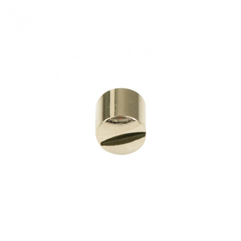 Kluson Replacement Screw Cap For Locking Deluxe Series Tuning Machines, Nickel