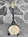 Supertone Tenor Banjo, 1920s