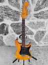 1978 Fender Stratocaster Hardtail, Natural, Rosewood Fingerboard, with Case