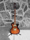 PRS SE 254 Standard