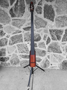 NS Design Wav 4 Electric Upright Bass