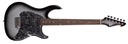 Peavey Raptor Custom Electric Guitar, Silverburst