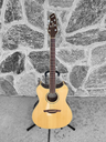Wechter Pathmaker Acoustic Electric Guitar with Hardshell Case