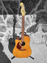Fender San Miguel Lefty Acoustic Guitar with Fishman Pickup and Case