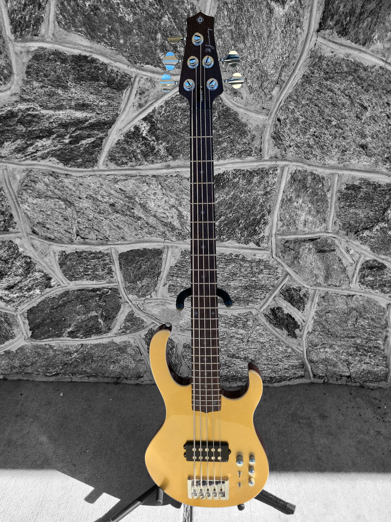 H. Jimenez Camaleon 5-String Bass, Gold Top
