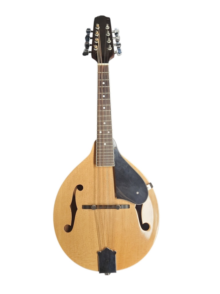 [U-CustomMando-0113] Custom A-Style Mandolin with Hardshell Case