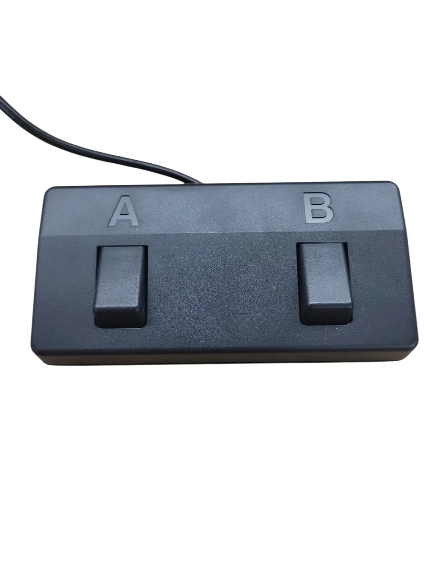 Roland 2-Button Footswitch for Acoustic Singer Amps (Live and Pro)