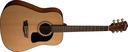 Washburn Apprentice D5 Dreadnaught Acoustic Guitar with Case