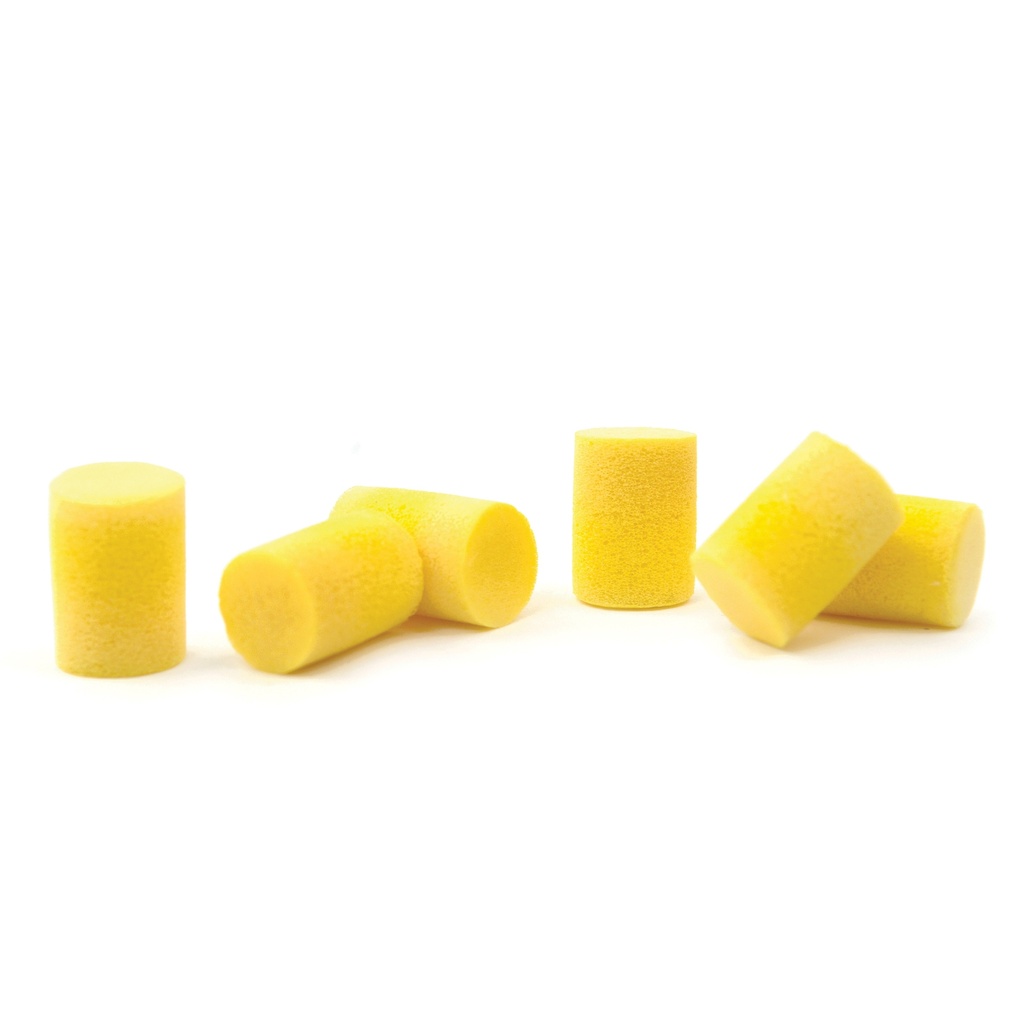D'Addario Comfort Fit Foam Ear Plugs, 3 Pair