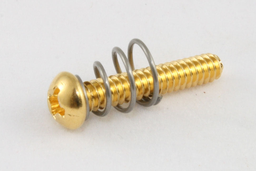[GS-0007-002] Allparts GS-0007 Single Coil Pickup Screws, Gold, Pack of 8
