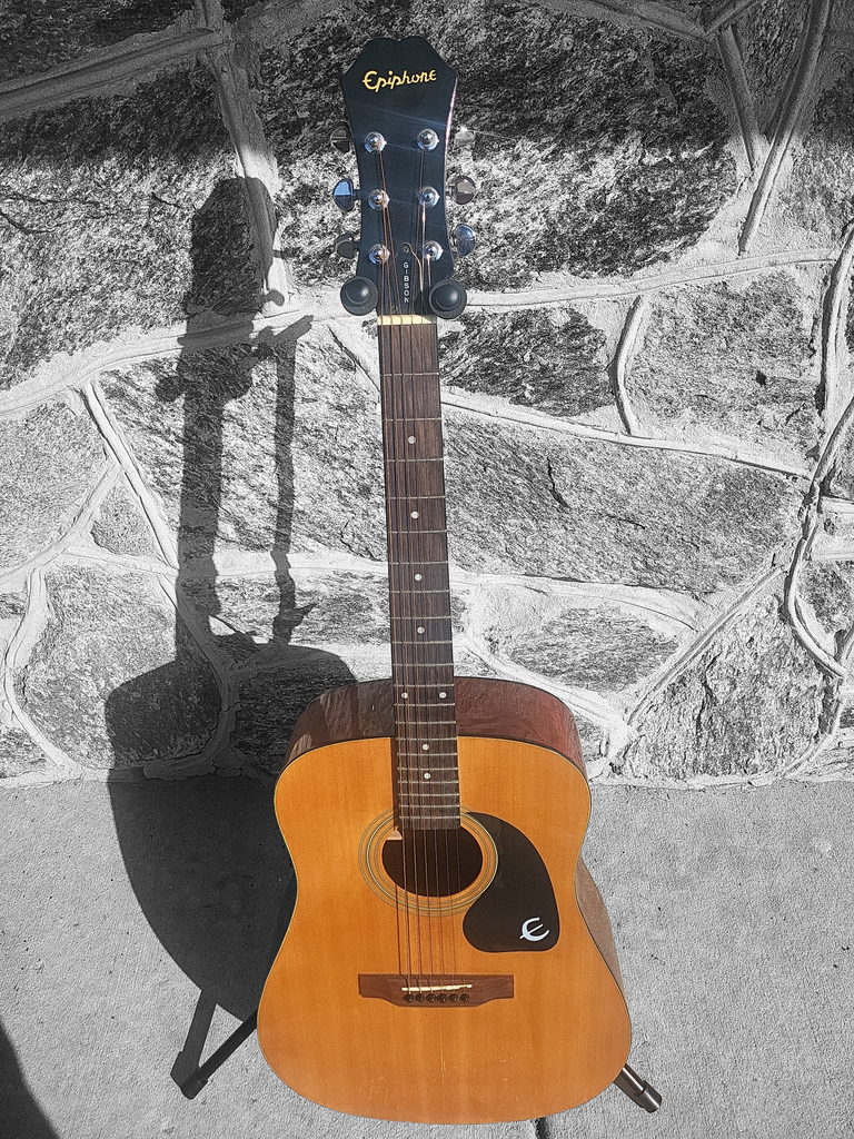 Epiphone PR-160 Acoustic Guitar