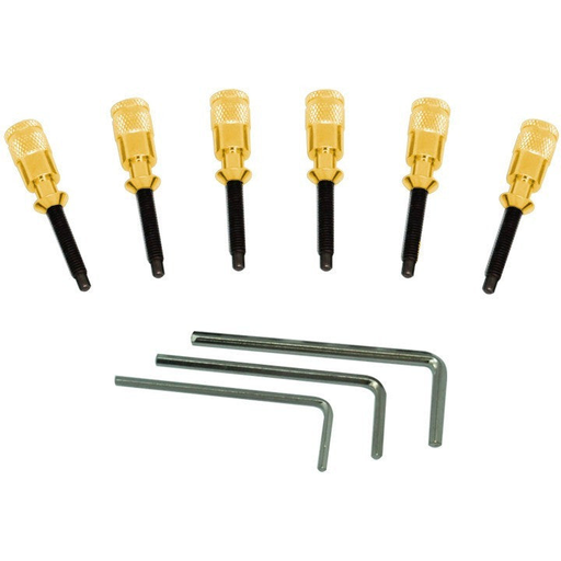 [FRHPGP] Floyd Rose Hollow Point Intonation System, Gold