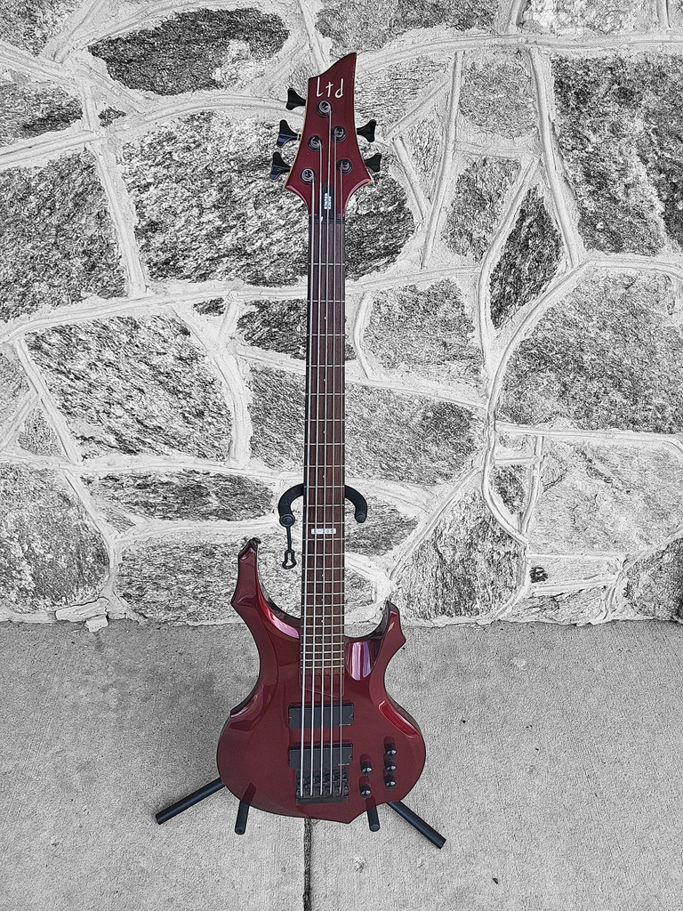 ESP Ltd F-205 5-String Bass