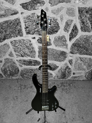 [U-STRINBERG4] Strinberg 4-String Bass, Black