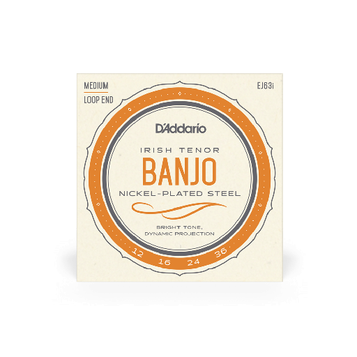[EJ63i] D'Addario EJ63i Irish Tenor Banjo Strings, Nickel, 12-36